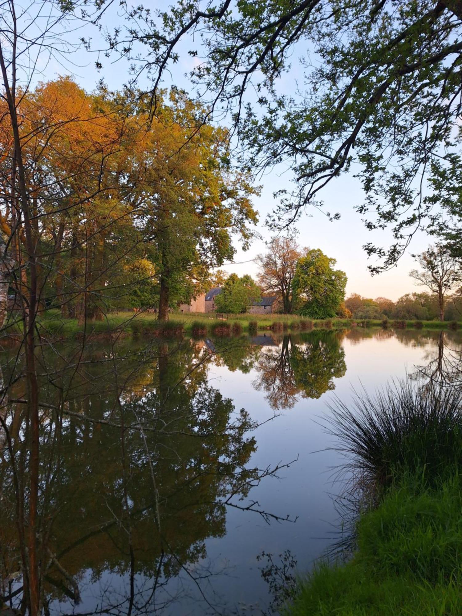 Domaine De Bobehec - Gite De Groupe, Chambres & Salle - 23 Personnes - Morbihan Proche Vannes Et Plages La Vraie-Croix Esterno foto
