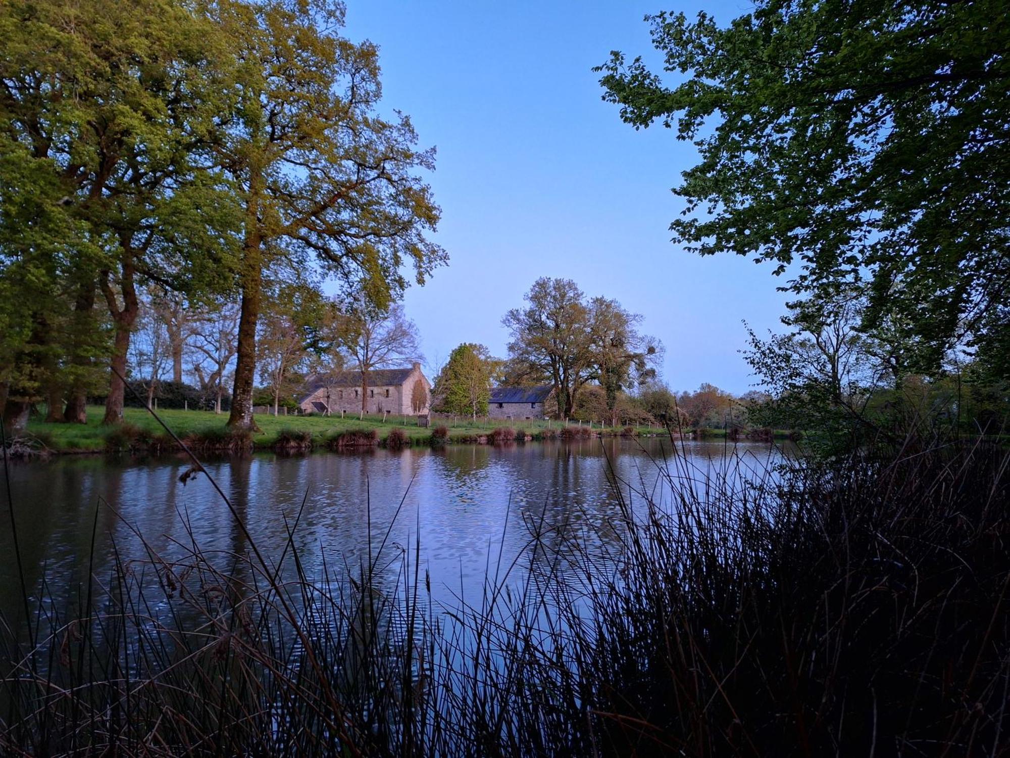 Domaine De Bobehec - Gite De Groupe, Chambres & Salle - 23 Personnes - Morbihan Proche Vannes Et Plages La Vraie-Croix Esterno foto